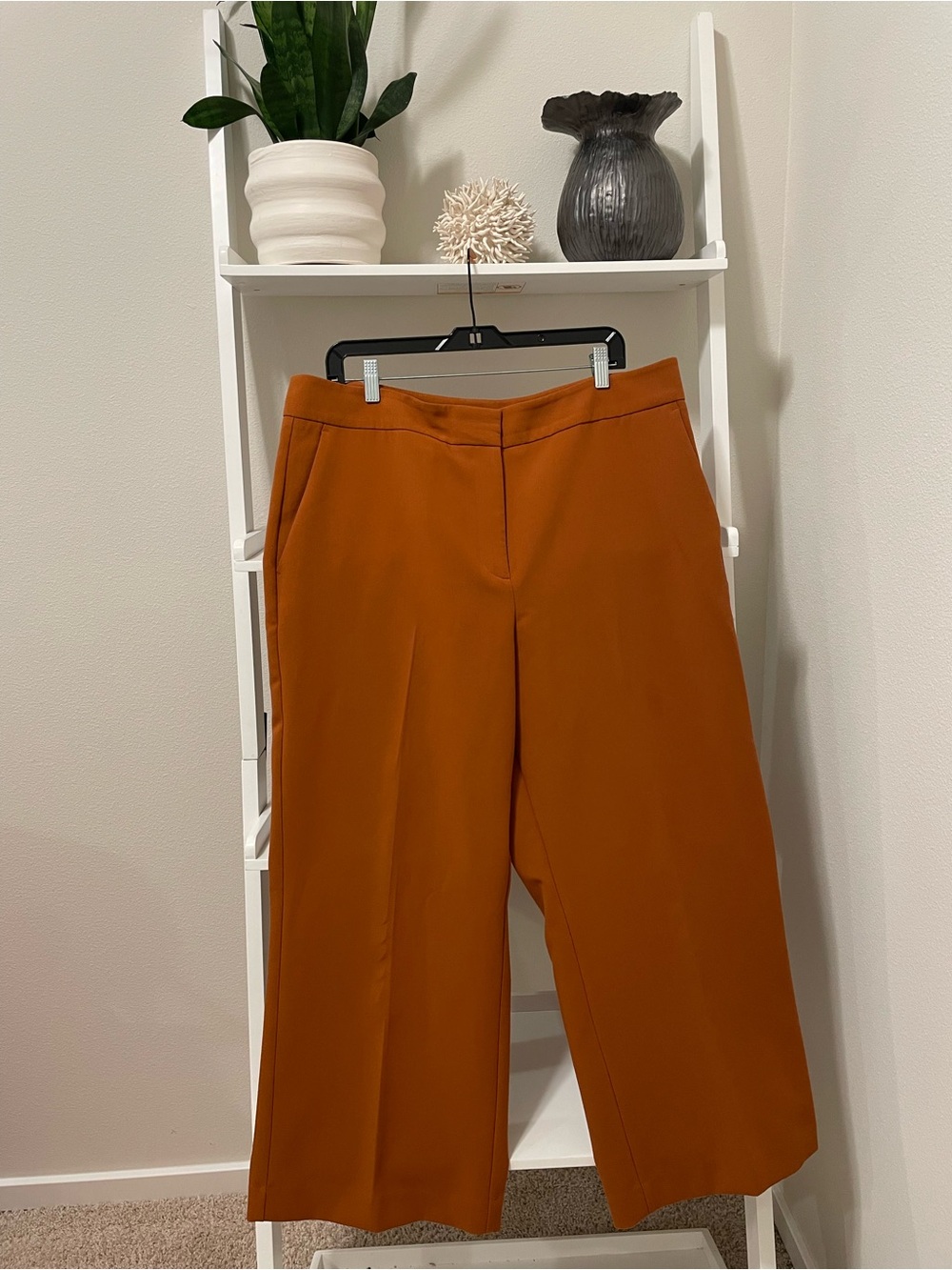 Ann Taylor Factory Wide-Leg Cropped Pants in Burnt Orange